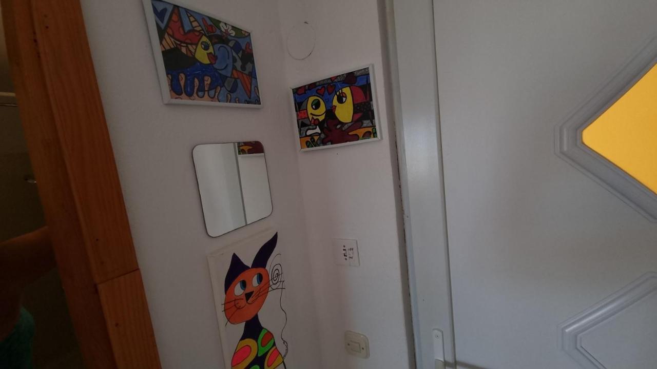 Arts Room Jasmina With Sea View Bikers And Pets Are Welcome Стариград-Пакленица Экстерьер фото