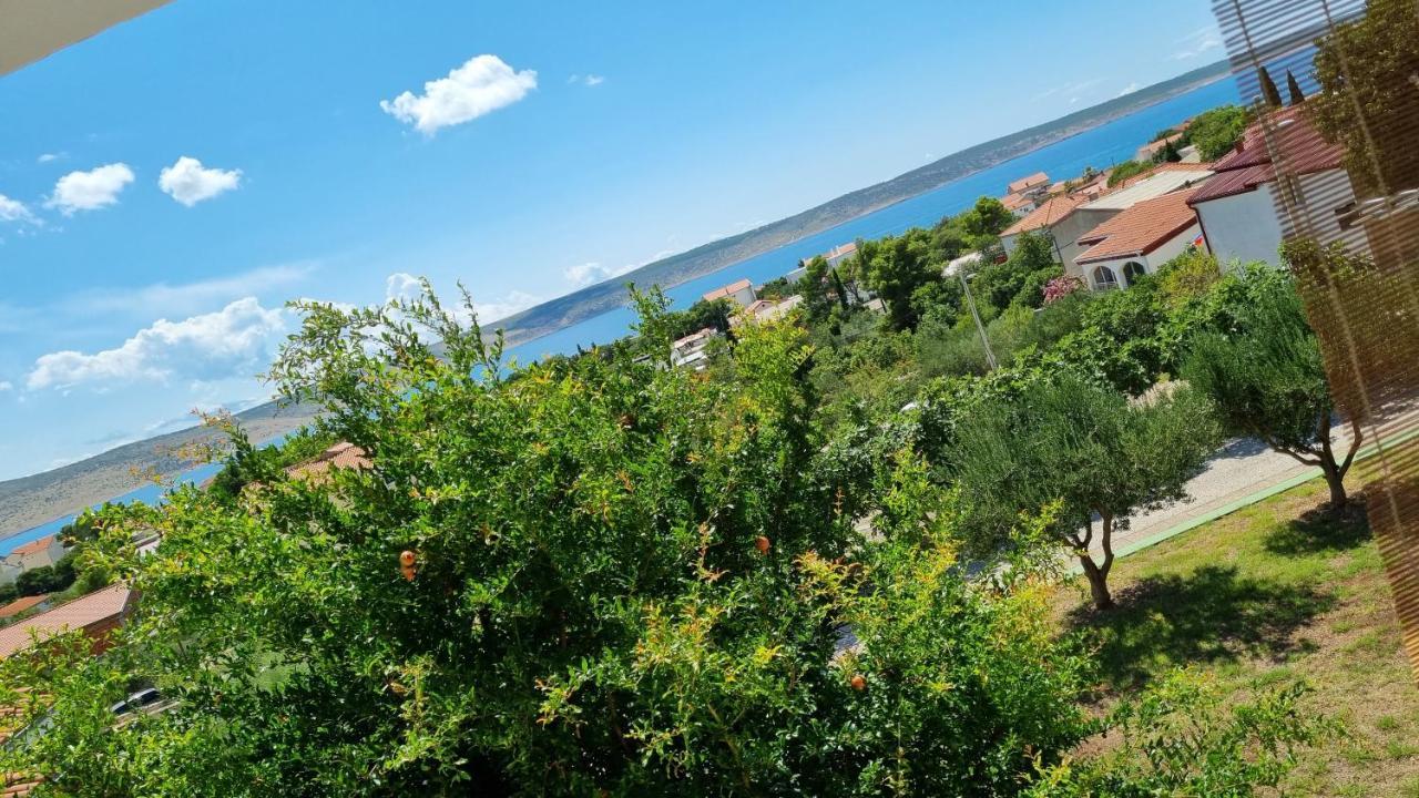 Arts Room Jasmina With Sea View Bikers And Pets Are Welcome Стариград-Пакленица Экстерьер фото